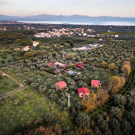 Bed and Breakfast La Piana Degli Ulivi Россано Экстерьер фото
