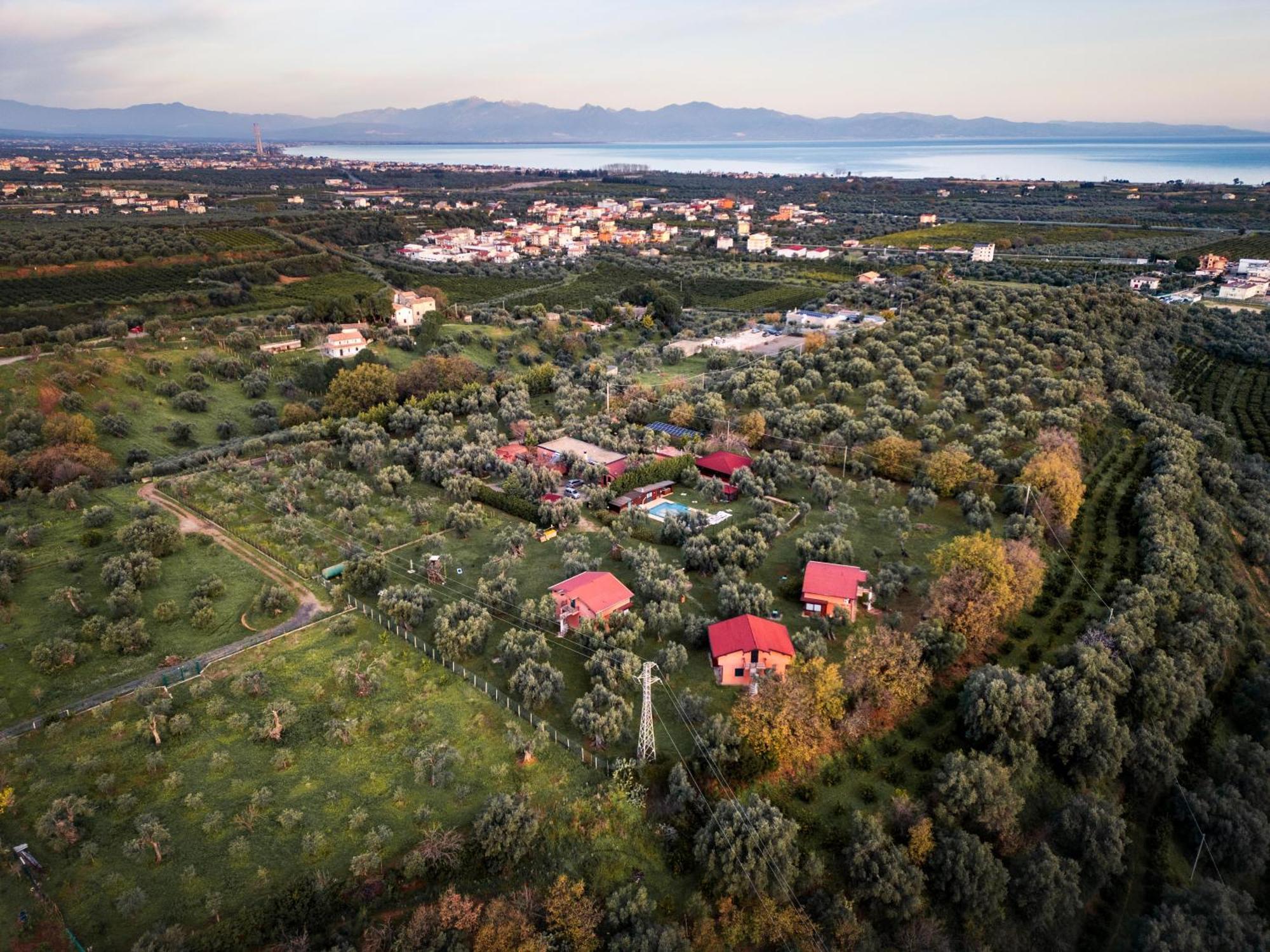 Bed and Breakfast La Piana Degli Ulivi Россано Экстерьер фото