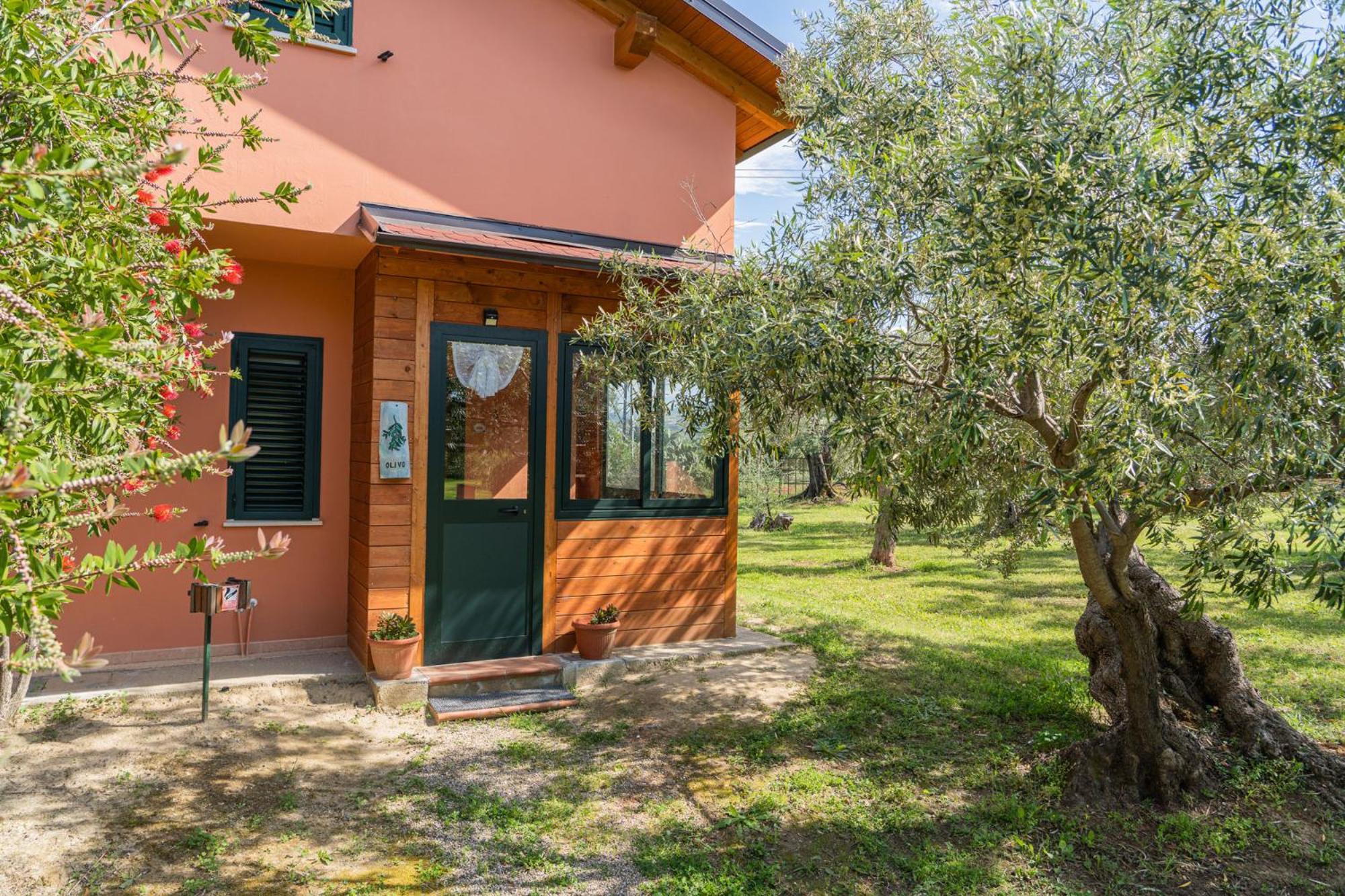 Bed and Breakfast La Piana Degli Ulivi Россано Экстерьер фото